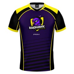Uniforme - RaidHawk eSports