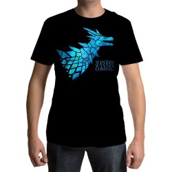 Camiseta - Winter (Wyvern) Is Coming