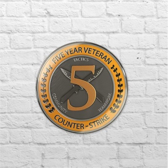 Placa - Five Year Veteran Coin CSGO