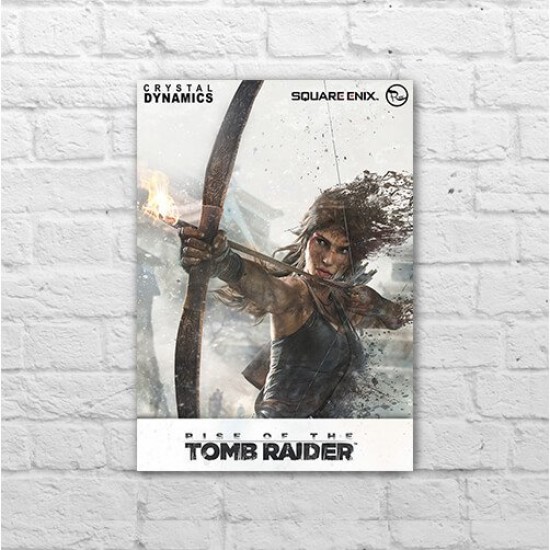 Placa - Rise of the Tomb Raider